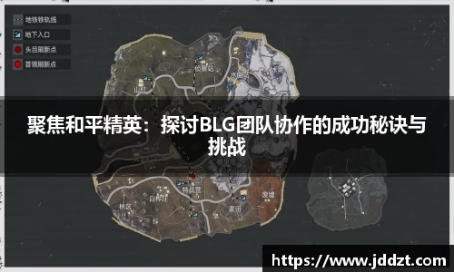 聚焦和平精英：探讨BLG团队协作的成功秘诀与挑战