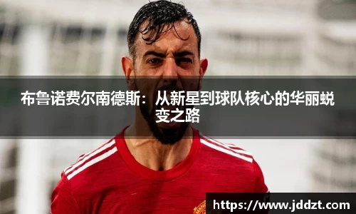 金年会体育